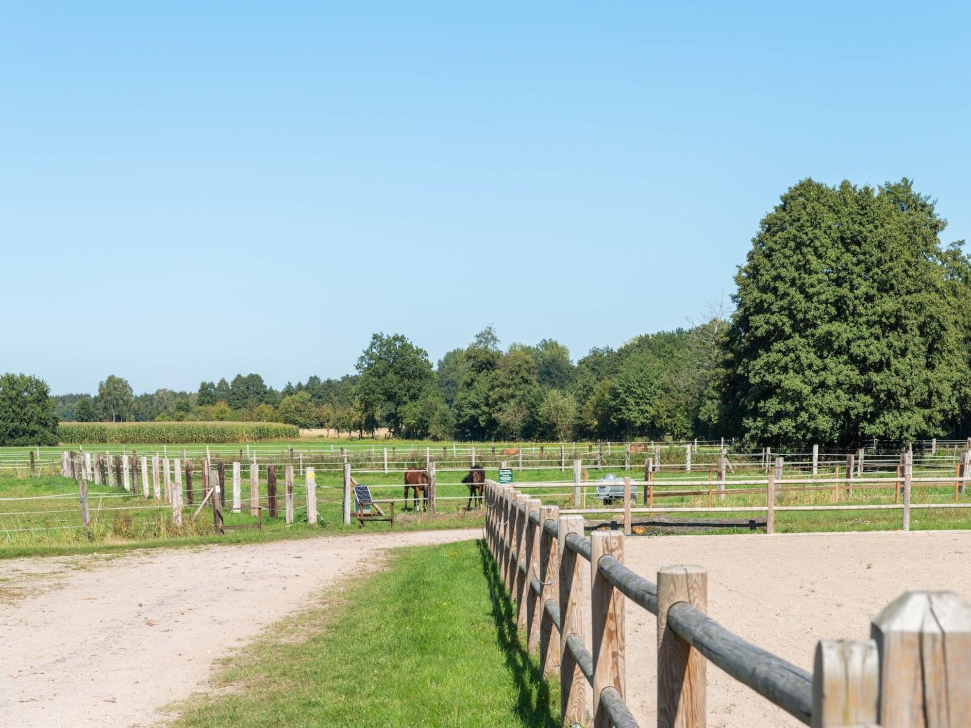 Holiday Home On A Horse Farm In The L Neburg Heath Eschede Екстериор снимка